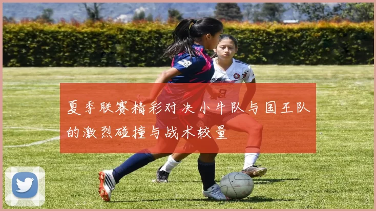 夏季联赛精彩对决小牛队与国王队的激烈碰撞与战术较量