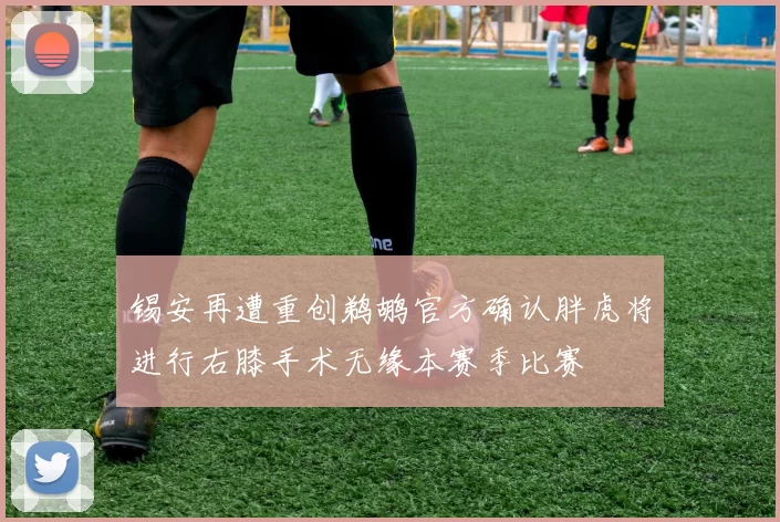 锡安再遭重创鹈鹕官方确认胖虎将进行右膝手术无缘本赛季比赛