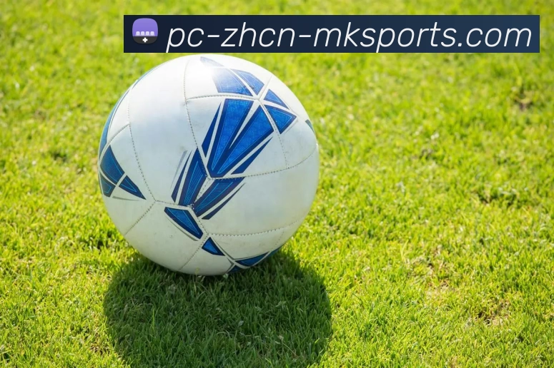 MK体育服务体系
