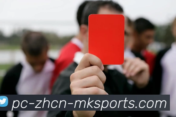 MK体育APP 体育赛事宣传图